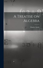 A Treatise on Algebra