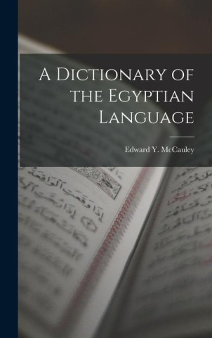 A Dictionary of the Egyptian Language