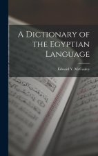 A Dictionary of the Egyptian Language