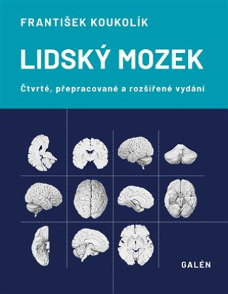 Lidský mozek