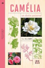 Camélia. Un destin universel