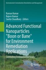 Advanced Functional Nanoparticles 