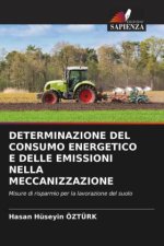 DETERMINAZIONE DEL CONSUMO ENERGETICO E DELLE EMISSIONI NELLA MECCANIZZAZIONE