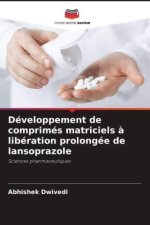 Développement de comprimés matriciels ? libération prolongée de lansoprazole