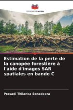 Estimation de la perte de la canopée foresti?re ? l'aide d'images SAR spatiales en bande C