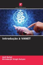 Introduç?o ? VANET