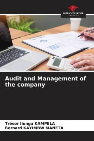 Audit and Management of the company