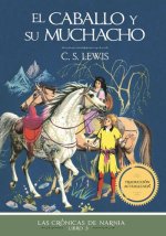 El Caballo Y Su Muchacho