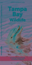 Tampa Bay Wildlife: A Folding Pocket Guide to Familiar Animals