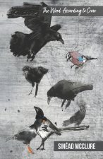 The Word According to Crow