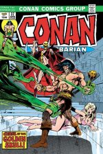 Conan The Barbarian: The Original Comics Omnibus Vol.2