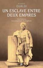 Un esclave entre deux empires . Une histoire transimpériale du Maghreb