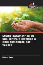 Studio parametrico su una centrale elettrica a ciclo combinato gas-vapore