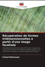 Récupération de formes tridimensionnelles ? partir d'une image focalisée
