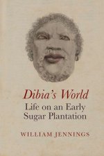 Dibia′s World: Life on an Early Sugar Plantation
