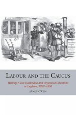 Labour and the Caucus – Working–Class Radicalism and Organised Liberalism in England, 1868–1888
