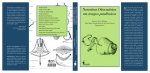 Narrativas Oitocentistas Em Tempos Pandêmicos