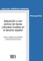 LA ADQUISICION A NON DOMINO DE BIENES CULTURALES MUEBLES EN