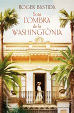 SOTA LOMBRA DE LA WASHINGTONIA