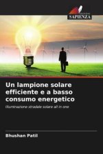 Un lampione solare efficiente e a basso consumo energetico