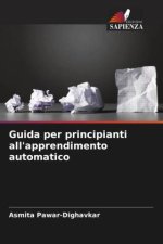 Guida per principianti all'apprendimento automatico