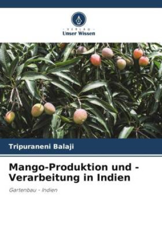 Mango-Produktion und -Verarbeitung in Indien