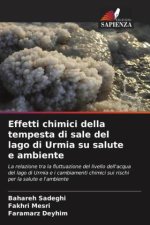 Effetti chimici della tempesta di sale del lago di Urmia su salute e ambiente