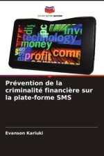 Prévention de la criminalité financi?re sur la plate-forme SMS