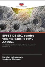 EFFET DE SiC, cendre volante dans le MMC AA6061