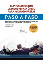 El procedimiento de insolvencia único para microempresas. Paso a paso