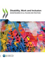 Disability, Work and Inclusion Mainstreaming in All Policies and Practices
