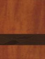 Rooted: The NIV Bible for Men, Leathersoft, Brown, Thumb Indexed, Comfort Print