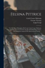 Felsina Pittrice: Vite De' Pittori Bolognesi, Del Conte Carlo Cesare Malvasia, Con Aggiunte, Correzioni E Note Inedite Del Medesimo Auto