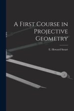 A First Course in Projective Geometry