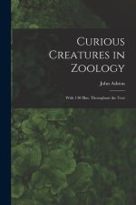 Curious Creatures in Zoology; With 130 Illus. Throughout the Text