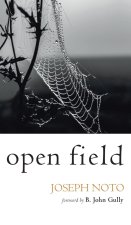 Open Field