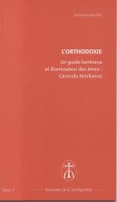 Un guide lumineux et illuminateur de nos âmes : Géronda Aimilianos