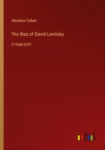 The Rise of David Levinsky
