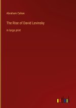 The Rise of David Levinsky