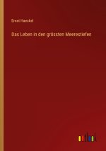 Das Leben in den grössten Meerestiefen