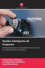 Gest?o Inteligente de Projectos