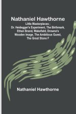 Nathaniel Hawthorne ; Little Masterpieces ; Dr. Heidegger's Experiment, The Birthmark, Ethan Brand, Wakefield, Drowne's Wooden Image, The Ambitious Gu
