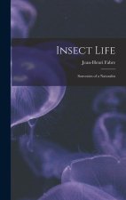 Insect Life: Souvenirs of a Naturalist