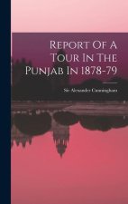 Report Of A Tour In The Punjab In 1878-79