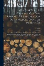 Mémoire Sur Les Travaux Qui Ont Rapport ? L'Explotation De La Mâture Dans Les Pyrennées: Avec Une Description Des Manoeuvres & Des Machines Employées