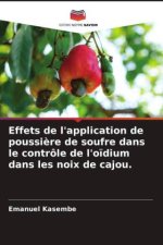 Effets de l'application de poussi?re de soufre dans le contrôle de l'o?dium dans les noix de cajou.
