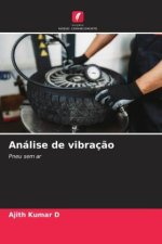 Análise de vibraç?o