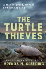 The Turtle Thieves