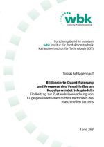 Bildbasierte Quantifizierung und Prognose des Verschleißes an Kugelgewindetriebspindeln