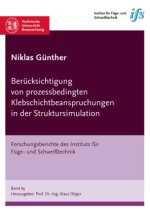 Berücksichtigung von prozessbedingten Klebschichtbeanspruchungen in der Struktursimulation